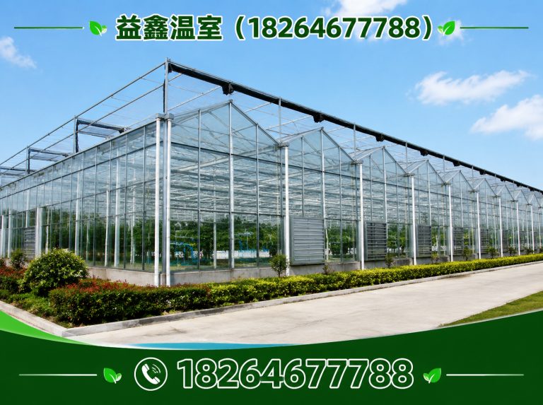 昌乐县玻璃温室展示图